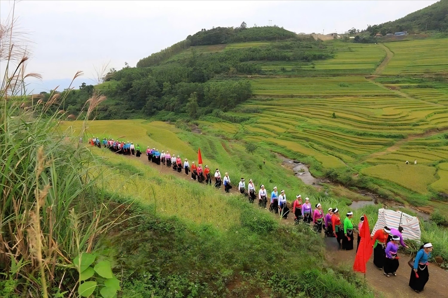 Các nghệ nhân di chuyển, trình diễn chiêng Mường trêncác thửa ruộng.Ảnh: TTXVN Các nghệ nhân di chuyển, trình diễn chiêng Mường trêncác thửa ruộng.Ảnh: TTXVN