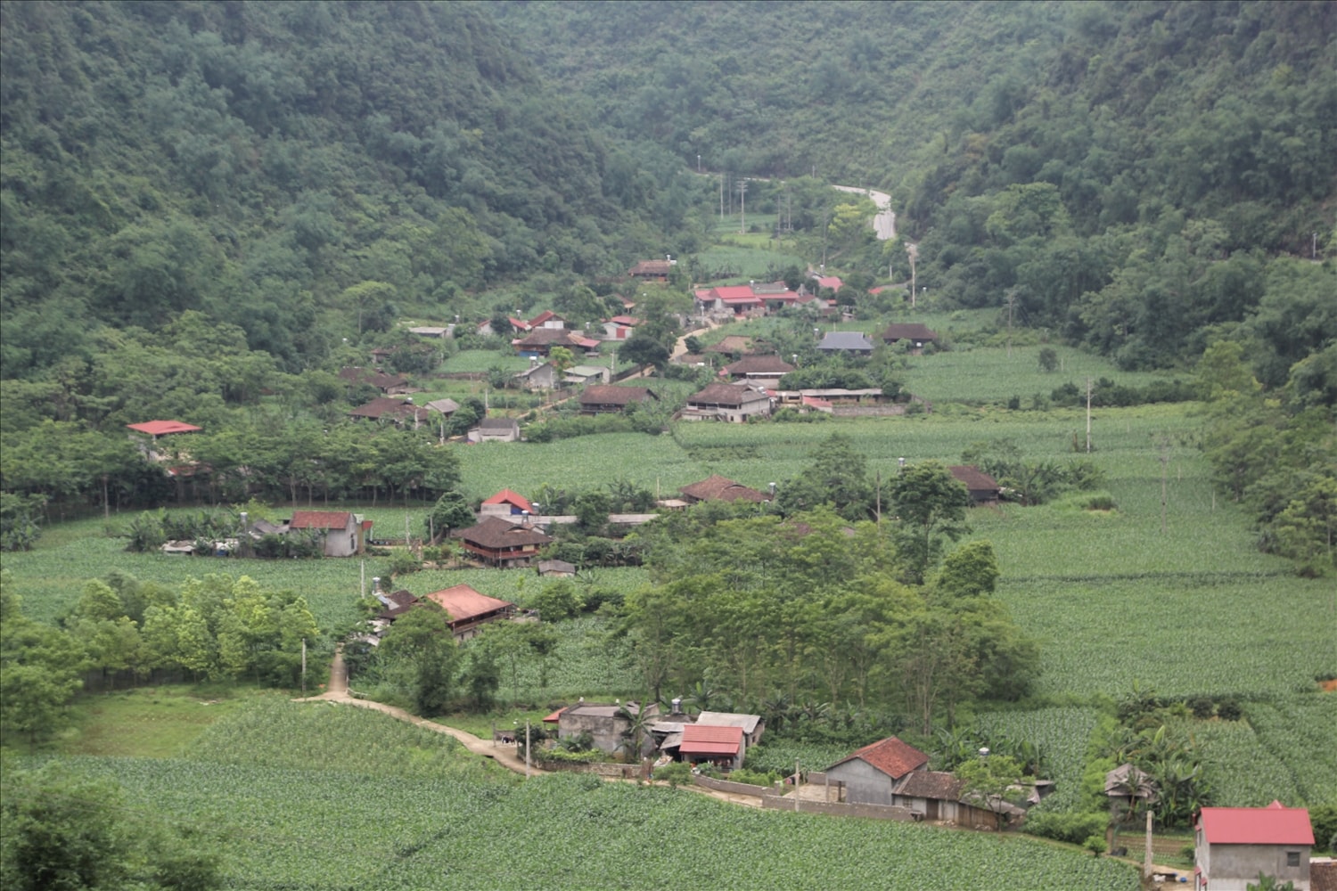 Tại nhiều địa phương việc triển khai Dự án 8 bị thu hẹp phạm vi, đối tượng thụ hưởng so với đầu giai đoạn