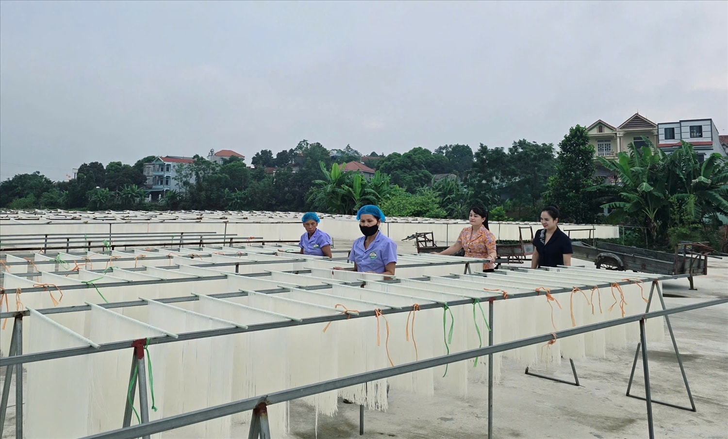 Hợp tác xã Mì gạo Hùng Lô đã tạo dựng được thương hiệu vững chắc cho sản phẩm truyền thống địa phương