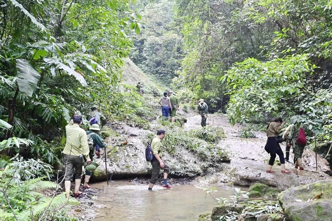 Người dân ở bản Phú Minh cùng lực lượng chức năng tuần tra, bảo vệ rừng (Ảnh: X.V) Người dân ở bản Phú Minh cùng lực lượng chức năng tuần tra, bảo vệ rừng (Ảnh: X.V)