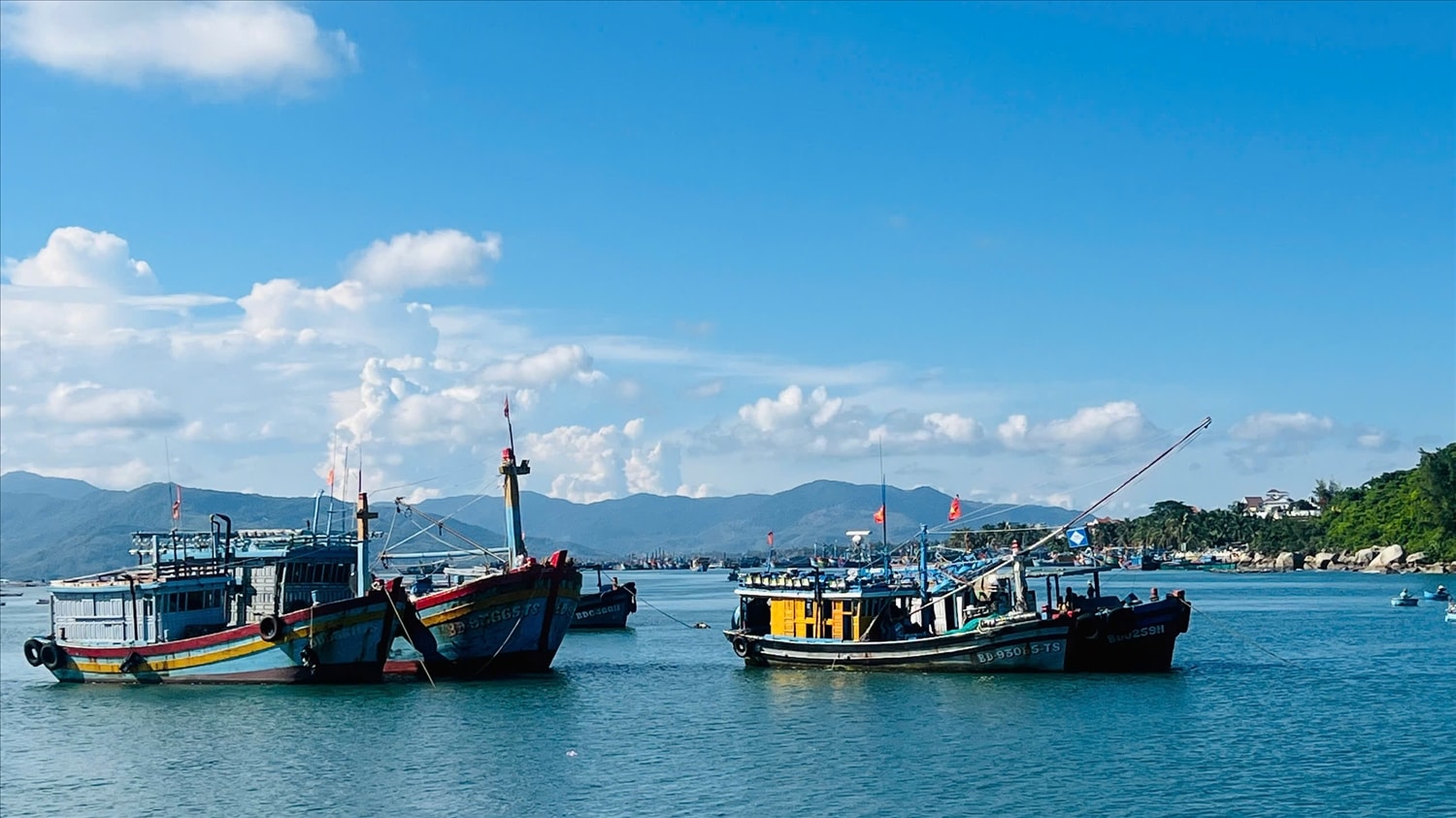 Tỉnh Gia Lai đã tập trung mọi nguồn lực, quyết tâm cùng cả nước gỡ 