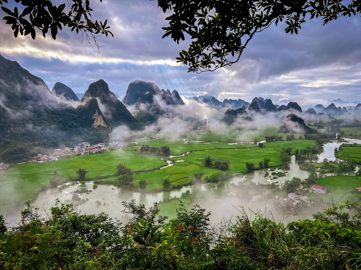 Sương sớm ôm lấy dãy núi đá vôi, phản chiếu xuống cánh đồng lúa xanh mướt của Ngọc Côn.