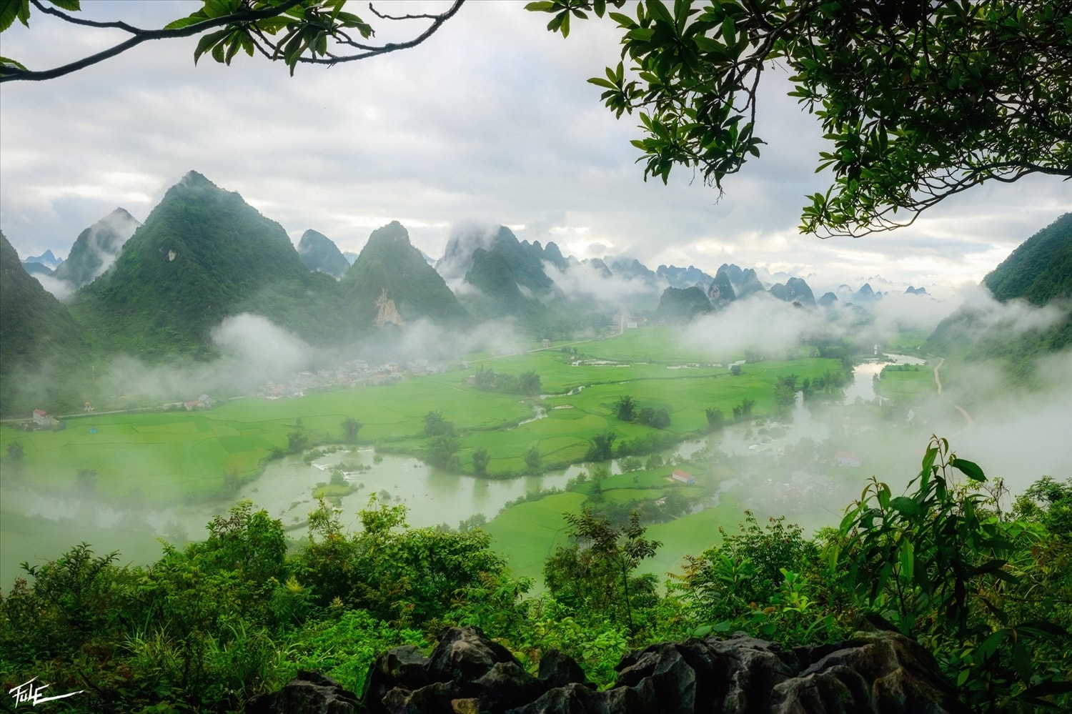 Sương giăng phủ trắng thung lũng, mở ra khung cảnh như chốn bồng lai tiên cảnh.