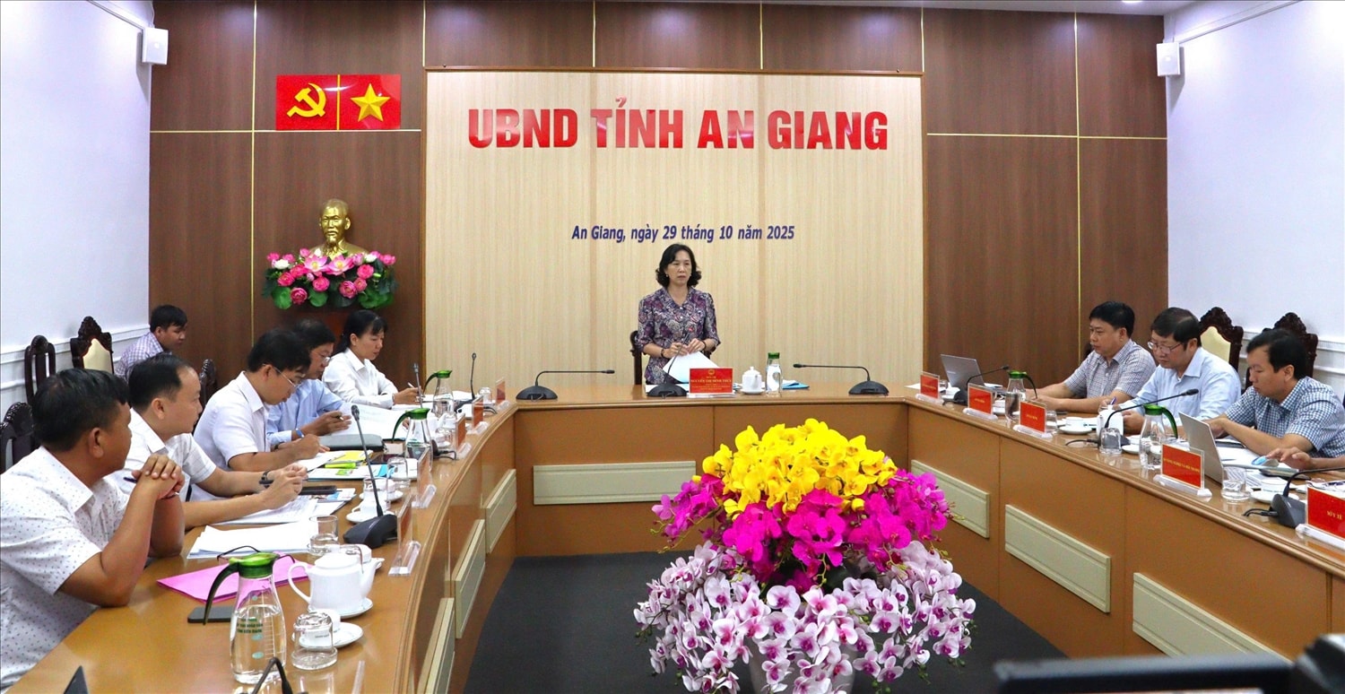 Phó Chủ tịch UBND tỉnh An Giang Nguyễn Thị Minh Thúy phát biểu chỉ đạo tại buổi làm việc