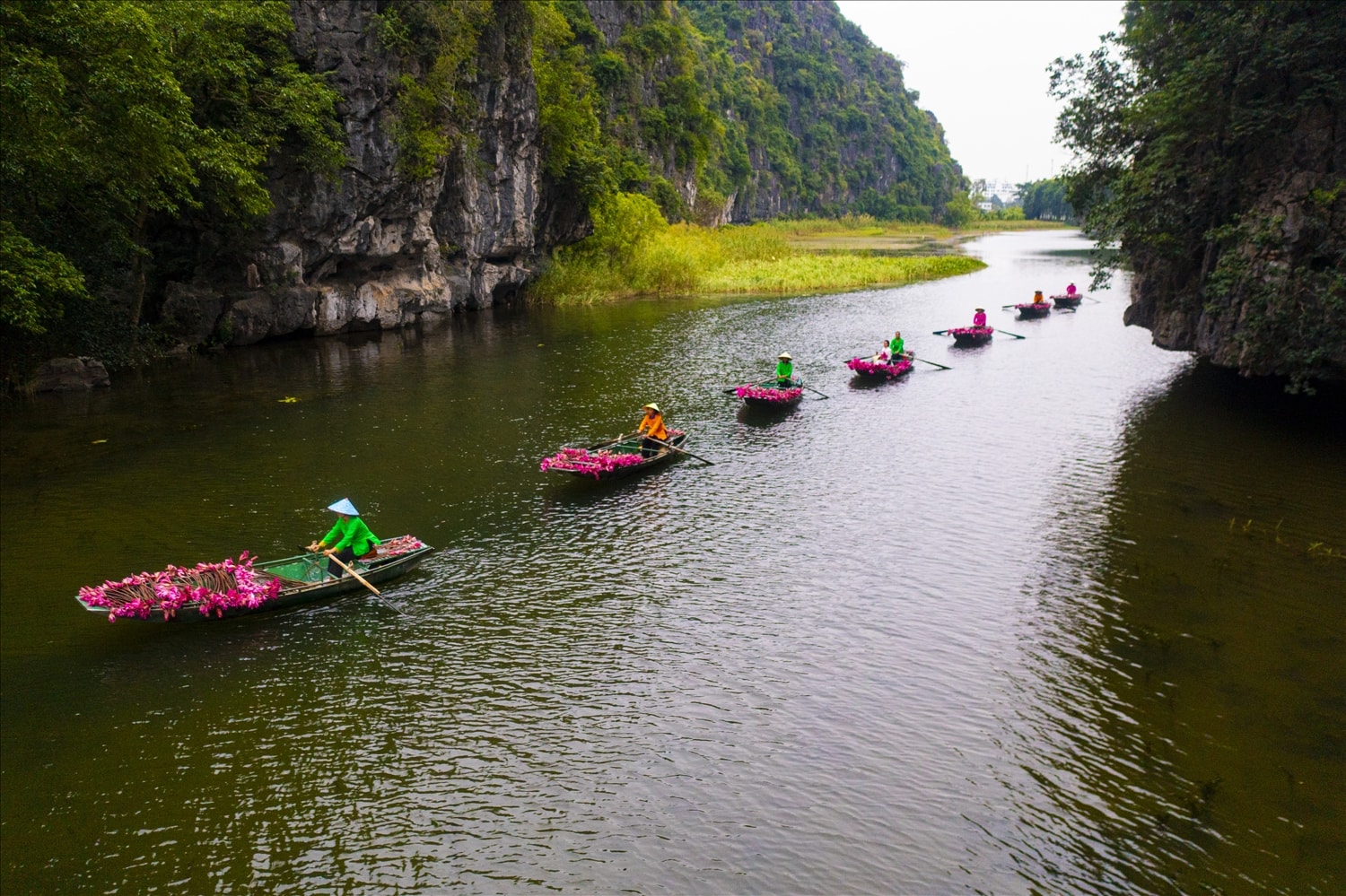 Vào những ngày thu mát mẻ, không khí trong lành nơi đây phảng phất hương thơm dịu nhẹ của loài hoa dân dã. Thời điểm lý tưởng nhất để chiêm ngưỡng vẻ đẹp này là khi bình minh vừa ló rạng (khoảng từ 6h đến 9h sáng). 