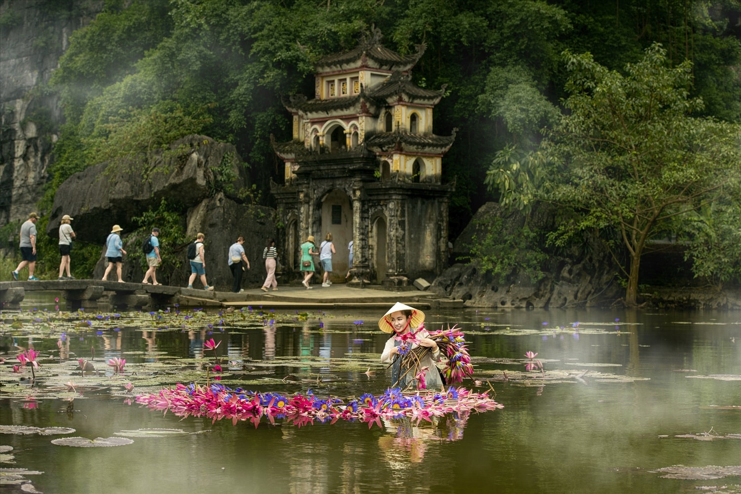 Du khách trải nghiệm, chụp hình bên hoa súng