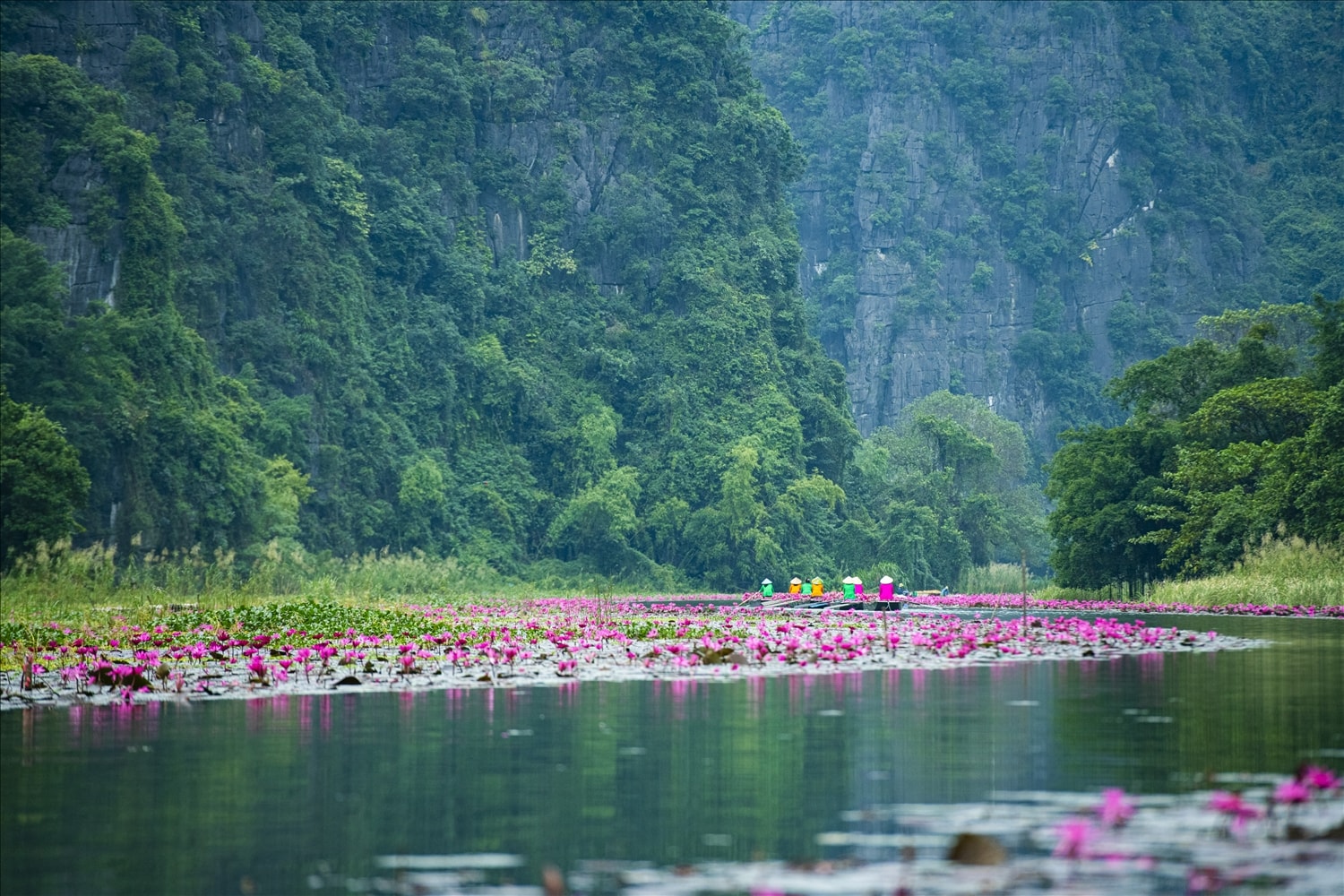 Dòng Ngô Đồng gắn liền với du lịch sinh thái của địa phương