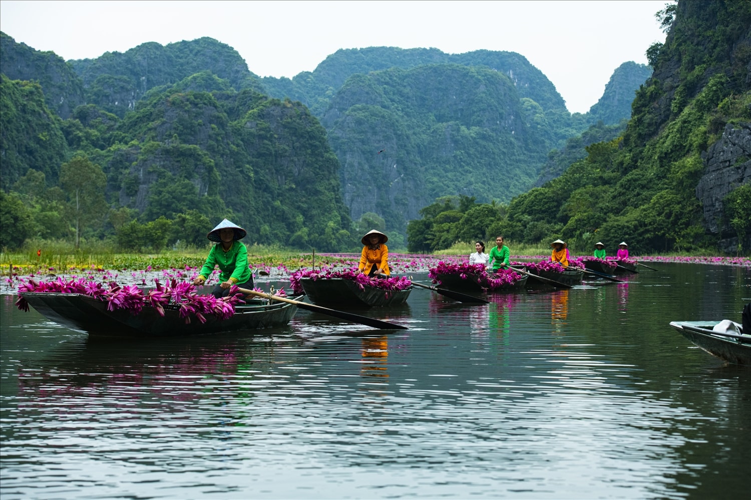Du khách ngồi trên những chiếc thuyền nan nhỏ, được các cô, các bác lái đò trong trang phục áo bà ba truyền thống nhẹ nhàng đưa lướt trên mặt nước. Tiếng mái chèo khua nhịp đều hòa cùng tiếng chim hót và tiếng gió tạo nên một bản nhạc đồng quê êm dịu.