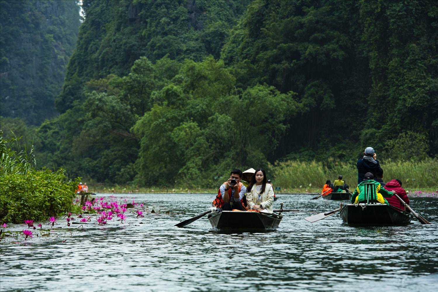 Vào buổi chiều, khi ánh nắng vàng nhạt dần, mặt sông Ngô Đồng như được phủ một lớp màu mật ong óng ánh. Lúc này, hoa súng bắt đầu khép cánh,chìm vào giấc ngủ yên ả, trả lại không gian tĩnh lặng tuyệt đối cho dòng sông.