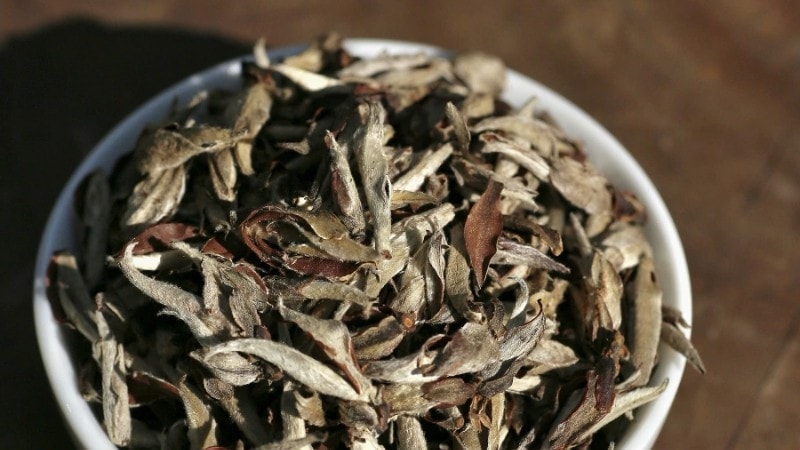 Sản phẩm chè Ho Thau Silver Ta của tỉnh Tuyên Quang đoạt giải Vàng. Ảnh: ITN