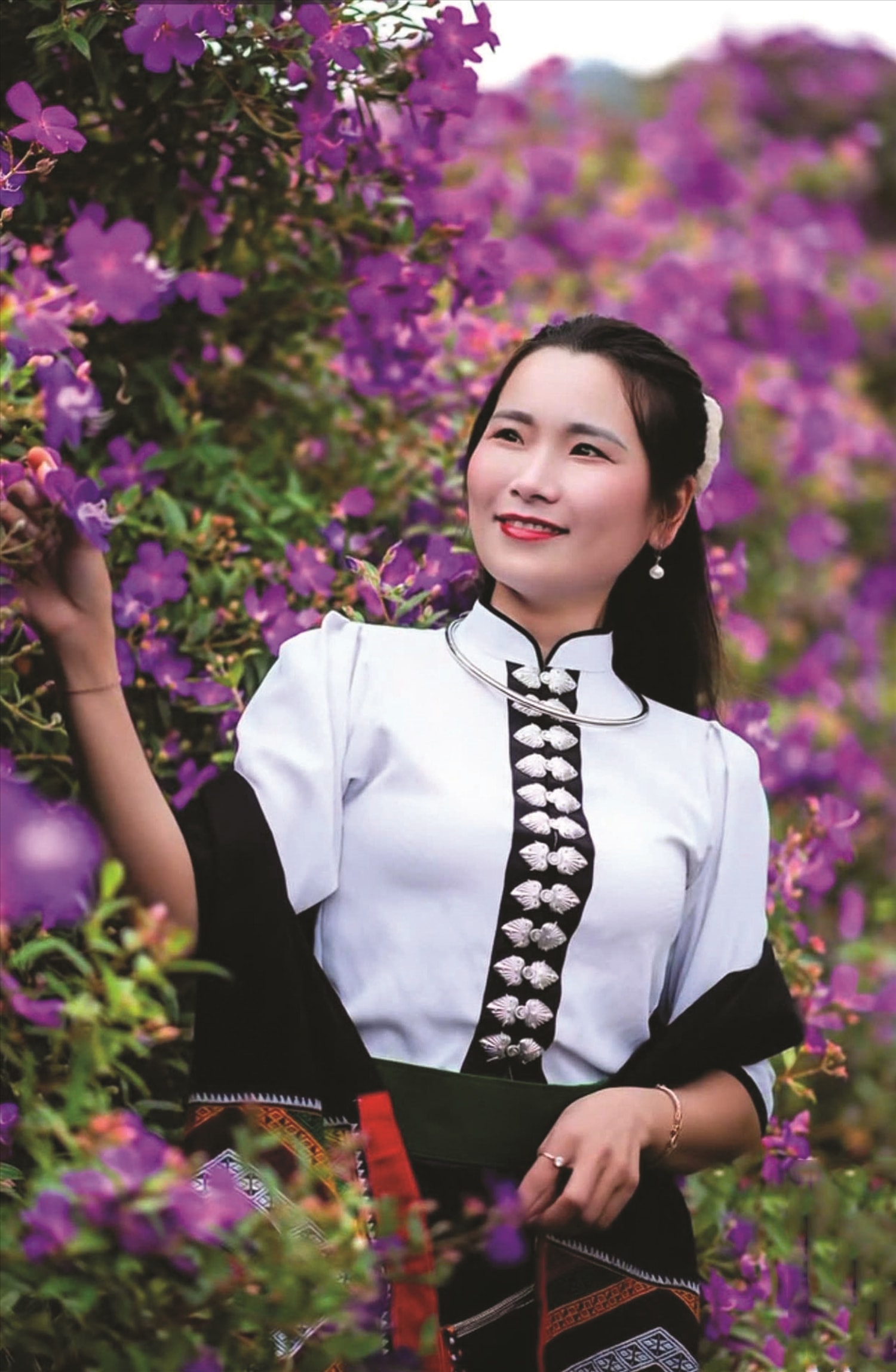 (BÁO IN) Sắc tím ở Vân Hồ 2