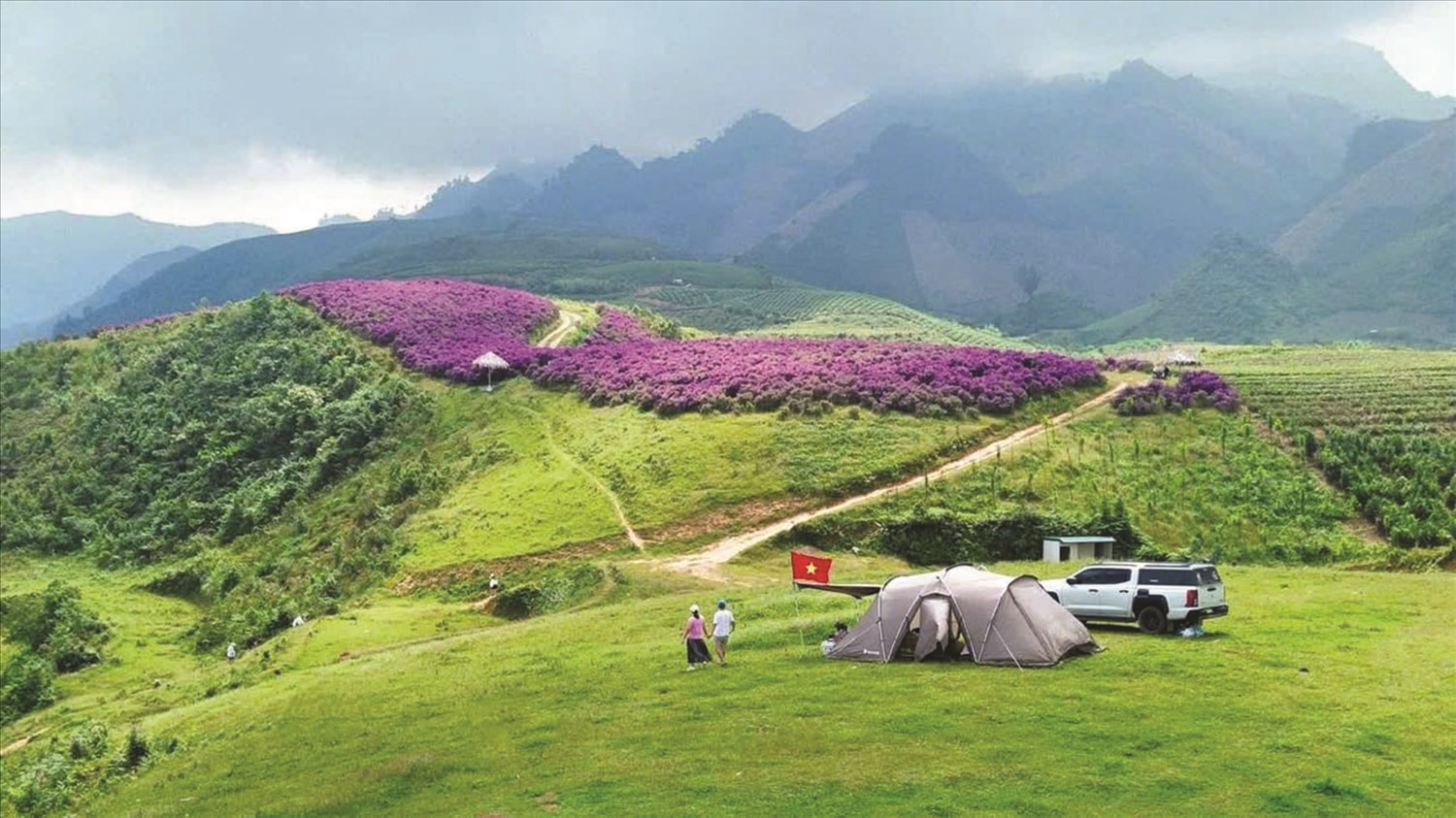 (BÁO IN) Sắc tím ở Vân Hồ 5
