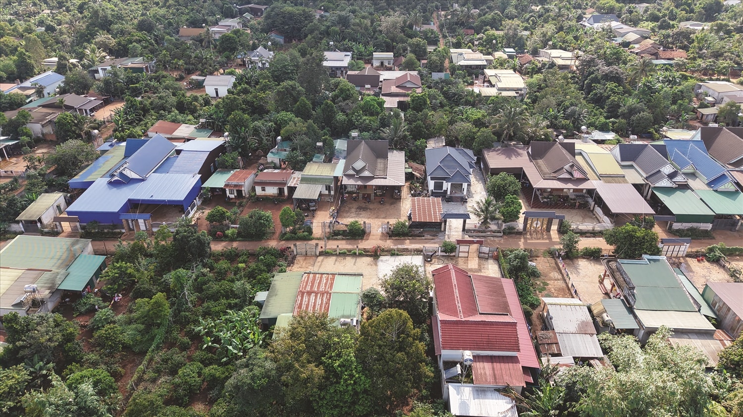 Buôn Jung là một trong số ít buôn tỷ phú, giàu có nhất, nhì tỉnh Đắk Lắk