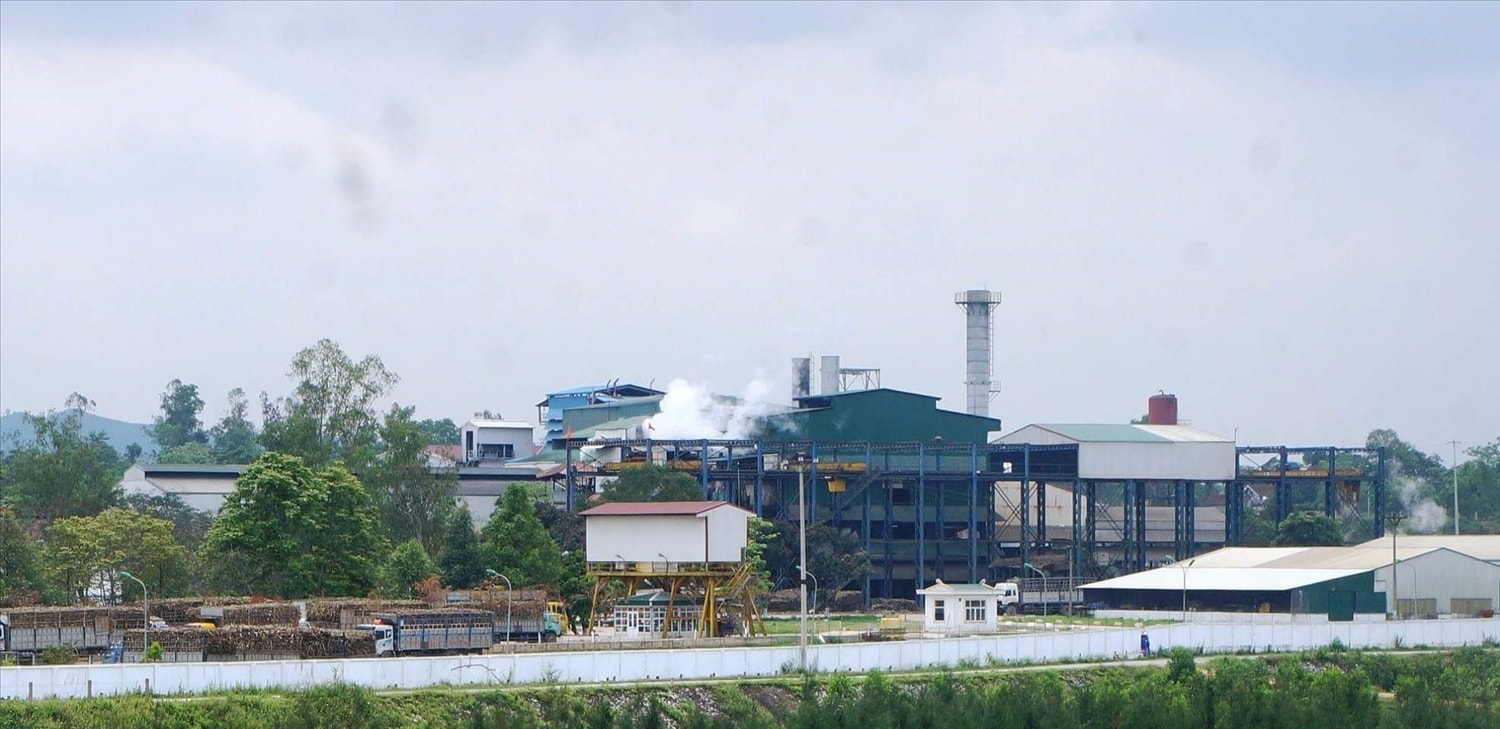 Nhà máy đường Sông Con bao tiêu sản phẩm giúp bà con vùng miền núi Tân Kỳ, Quỳ Hợp, Anh Sơn yên tâm sản xuất