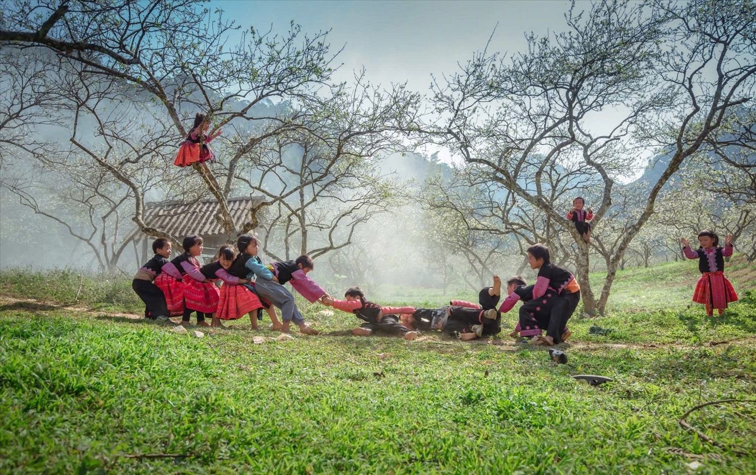 Phát huy vai trò của cơ quan quản lý Nhà nước về công tác dân tộc trong thực hiện Chương trình mục tiêu quốc gia 3 Phát huy vai trò của cơ quan quản lý Nhà nước về công tác dân tộc trong thực hiện Chương trình mục tiêu quốc gia 3