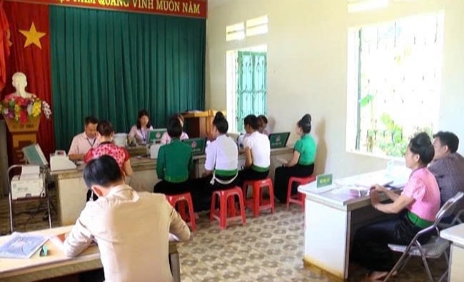 Nguồn vốn vay ưu đãi từ Phòng Giao dịch Ngân hàng CSXH Nghĩa Lộ các hộ đã có nguồn lực để đầu tư phát triển kinh tế từng bước xóa đói, giảm nghèo
