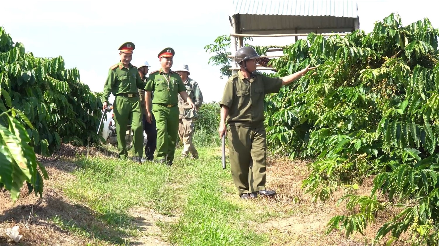 Công an xã Đăk Hà phối hợp với các lực lượng tăng cường công tác tuần tra, đảm bảo an ninh trật tự trong mùa thu hái cà phê. (Ảnh: Ngọc Chí)