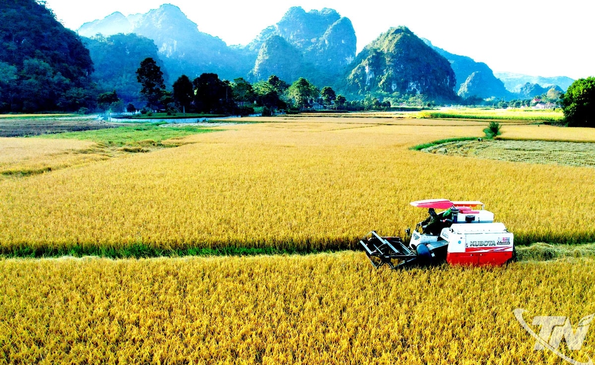 Đẩy mạnh cơ giới hóa và ứng dụng khoa học – kỹ thuật vào sản xuất nông nghiệp được xem là giải pháp quan trọng giúp giảm nghèo bền vững, nâng cao đời sống người dân ở các địa phương miền núi, vùng cao của tỉnh.