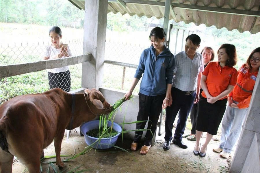 Gia đình chị Nịnh Thị Thương phấn khởi khi được nhận bò giống