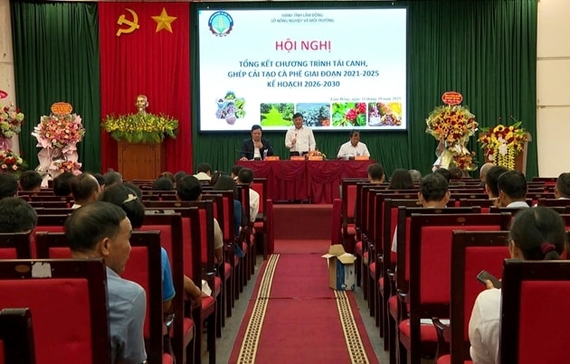 Quang cảnh  Hội nghị Tổng kết Chương trình tái canh, ghép cải tạo cà phê giai đoạn 2021-2025 tại Lâm Đồng