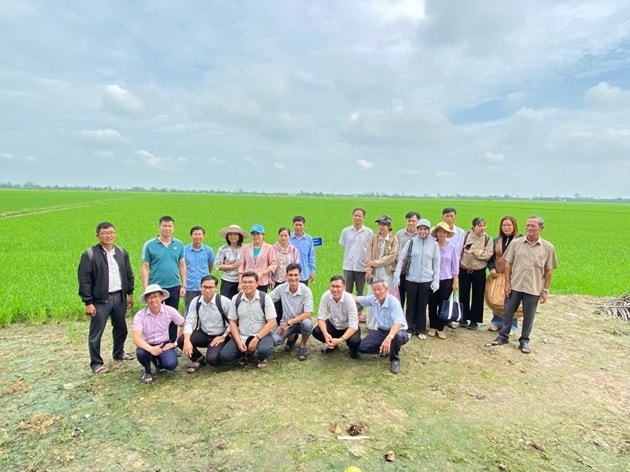 Gắn khuyến nông cộng đồng với kinh tế hợp tác