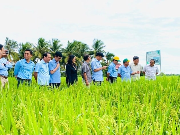 Các mô được triển khai góp phần phát triển nông nghiệp sinh thái, bền vững