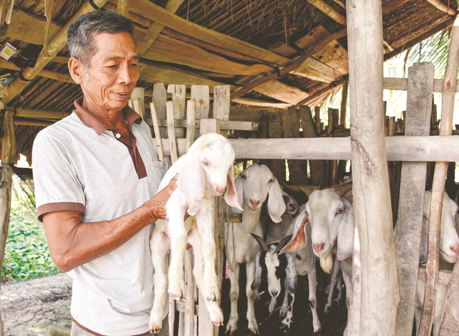 Tận dụng nguồn vốn được hỗ trợ, bà con DTTS vươn lên thoát nghèo