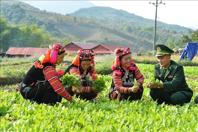 Tại Nghị quyết số 86, Chính phủ yêu cầu các Bộ: Y tế, Giáo dục và Đào tạo, Văn hóa, Thể thao và Du lịch, Nông nghiệp và Môi trường, Dân tộc và Tôn giáo chuẩn bị triển khai các Nghị quyết của Quốc hội về cơ chế, chính sách đặc thù, các Chương trình Mục tiêu quốc gia… (Ảnh MH)