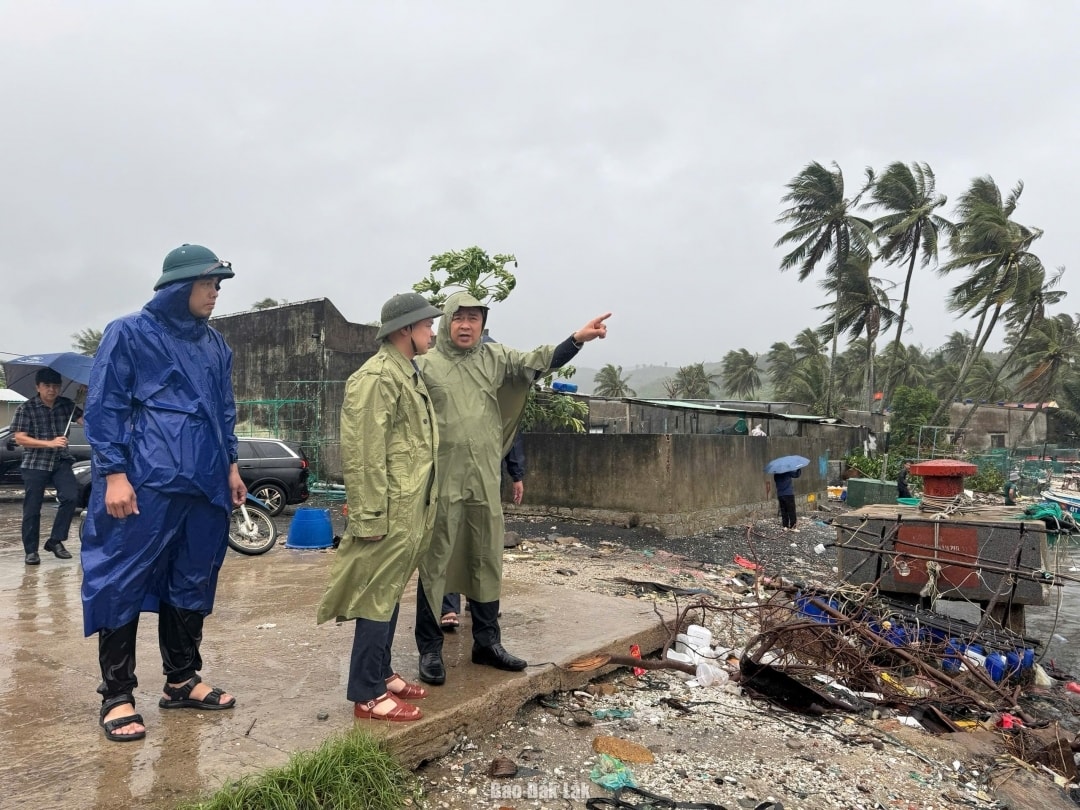 : Lãnh đạo tỉnh Đắk Lắk kiểm tra khu neo đậu tàu thuyền tại phường Sông Cầu (Ảnh: Hồ Như)