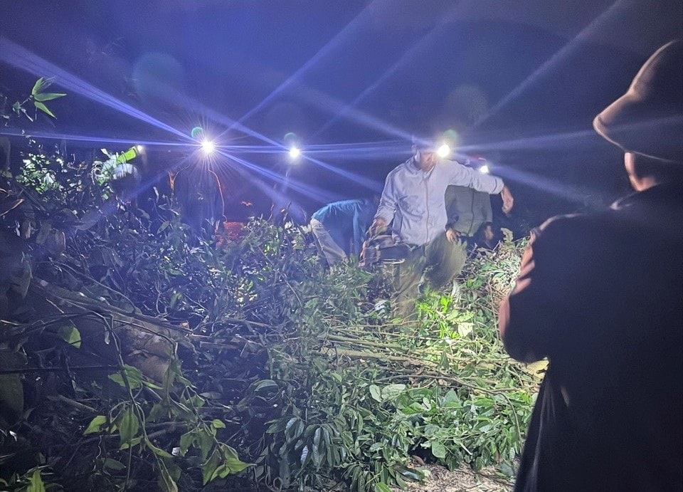 Lực lượng chức năng xã Ngọk Réo triển khai cắt dọn cây xanh bị gãy đổ, đảm bảo an toàn cho người tham gia giao thông. (Ảnh: Ngọc Chí)
