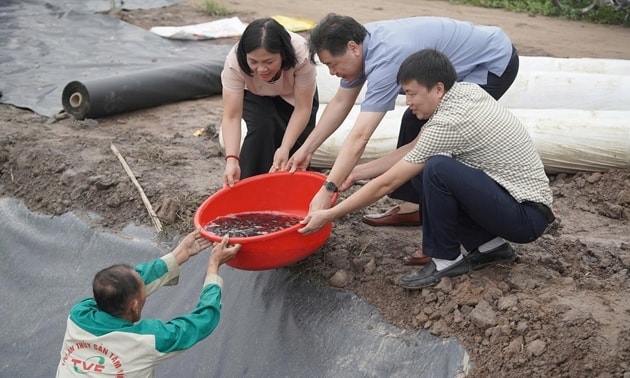 Kỳ vọng sản xuất chăn nuôi ổn định, bền vững, bảo đảm nguồn cung sản phẩm chăn nuôi cuối năm 2025 và đầu năm 2026