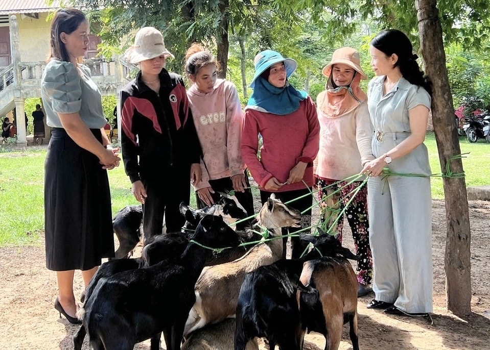 Các gia đình hội viên, phụ nữ xã Lìa nhận được con giống chất lượng cho mô hình nuôi dê sinh sản Các gia đình hội viên, phụ nữ xã Lìa nhận được con giống chất lượng cho mô hình nuôi dê sinh sản