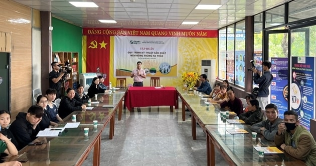 Quang cảnh buổi tập huấn kỹ thuật sản xuất nấm đông trùng hạ thảo tại Phú Thọ (Ảnh TTKNQG) Quang cảnh buổi tập huấn kỹ thuật sản xuất nấm đông trùng hạ thảo tại Phú Thọ (Ảnh TTKNQG)
