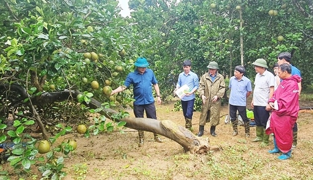  Xây dựng lực lượng nông dân phát triển toàn diện, có trình độ, học vấn và năng lực tổ chức sản xuất tiên tiến 