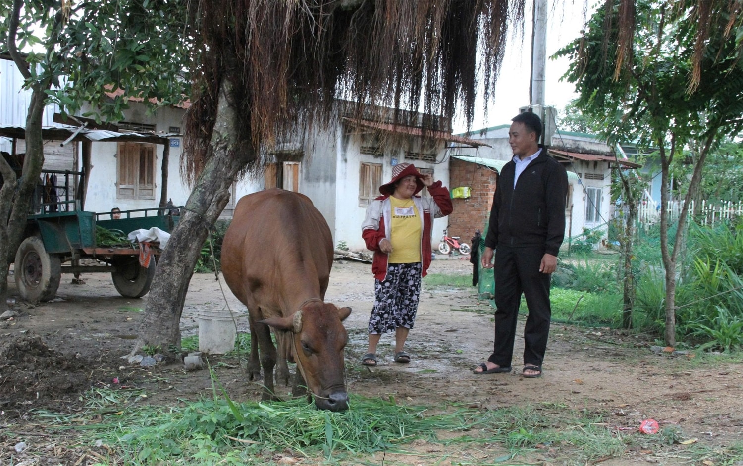 Hỗ trợ sinh kế giúp nhiều hộ nghèo tỉnh Đắk Lắk vươn lên thoát nghèo