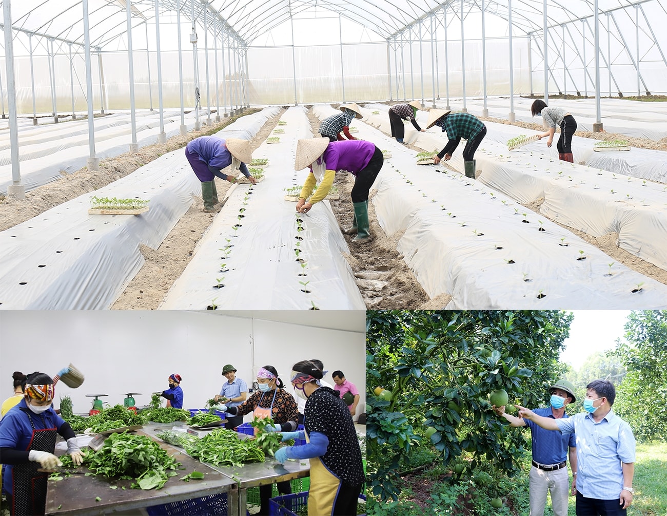 Liên Hợp Quốc đã chính thức khởi động dự án “Cơ chế tài chính sáng tạo hỗ trợ thích ứng trong sinh kế vùng đất ngập nước”