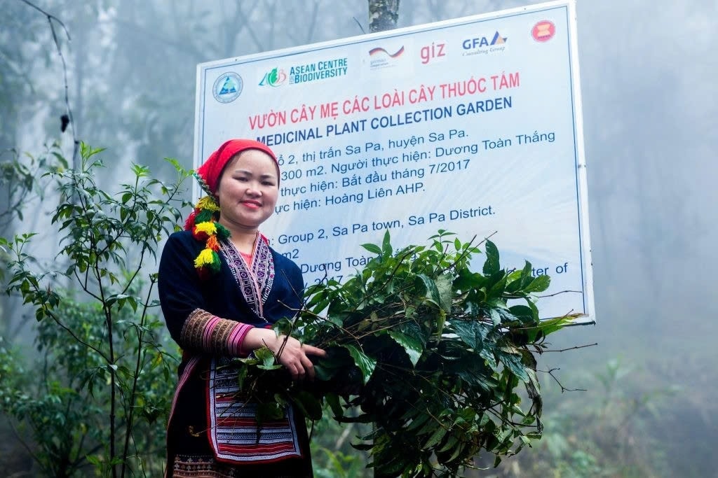 Thuốc tắm của người Dao đỏ không chỉ đơn thuần chăm sóc sức khỏe mà còn là bản sắc văn hóa của đồng bào dân tộc thiểu số vùng Tây Bắc Thuốc tắm của người Dao đỏ không chỉ đơn thuần chăm sóc sức khỏe mà còn là bản sắc văn hóa của đồng bào dân tộc thiểu số vùng Tây Bắc