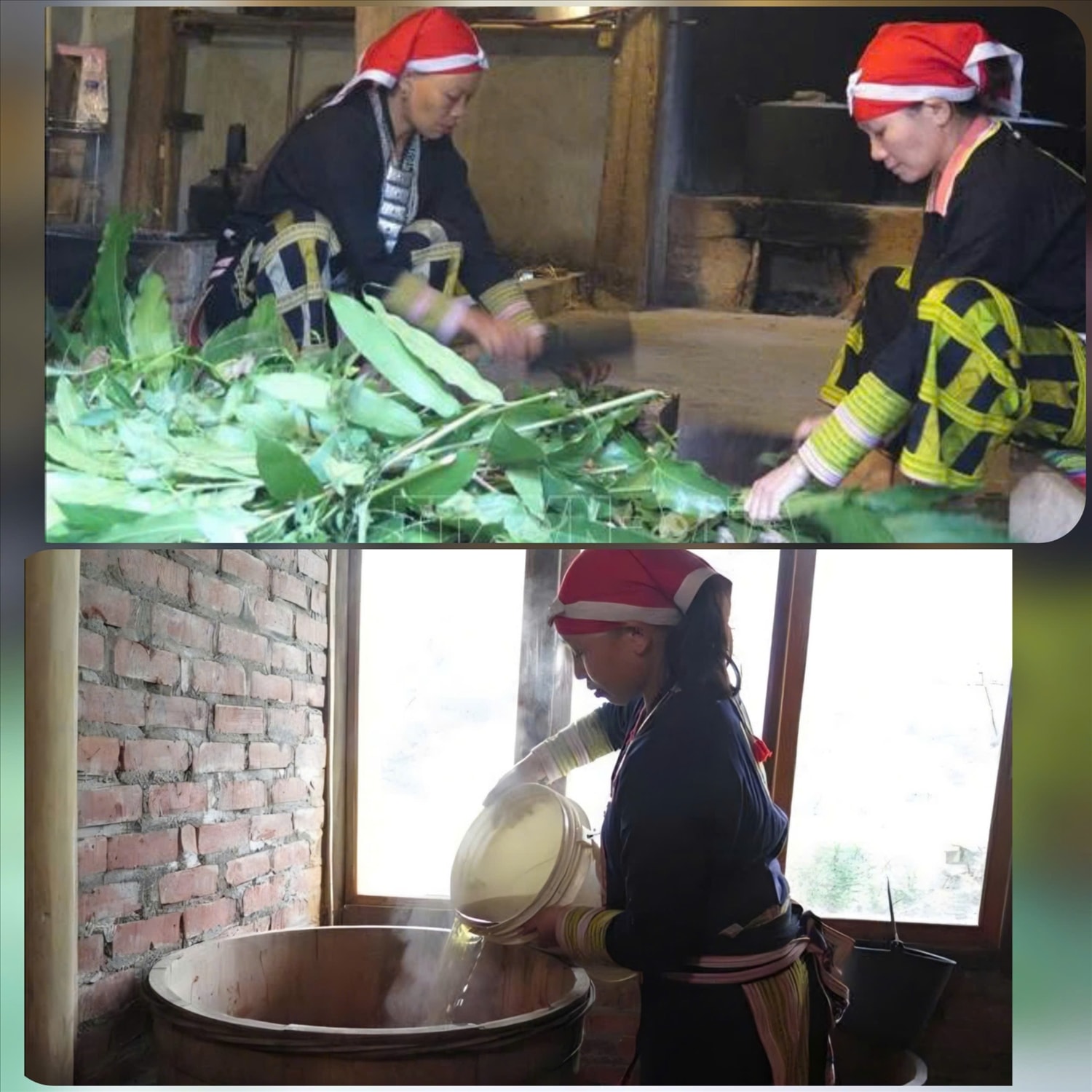 Sơ chế thuốc tắm của ngườiDao đỏ cho khách du lịch trải nghiệm tại Sa Pa (Lào Cai) Sơ chế thuốc tắm của ngườiDao đỏ cho khách du lịch trải nghiệm tại Sa Pa (Lào Cai)