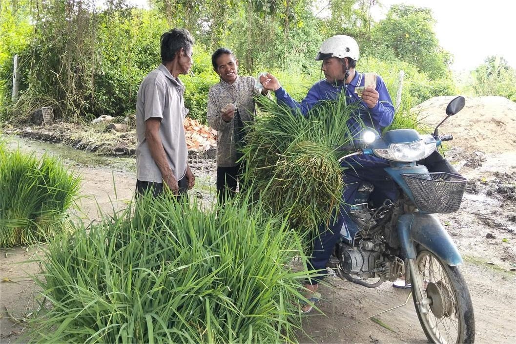 Bà Nèang Sà Riêng (ở giữa)  đã gắn với nghề bán cỏ hơn 15 năm