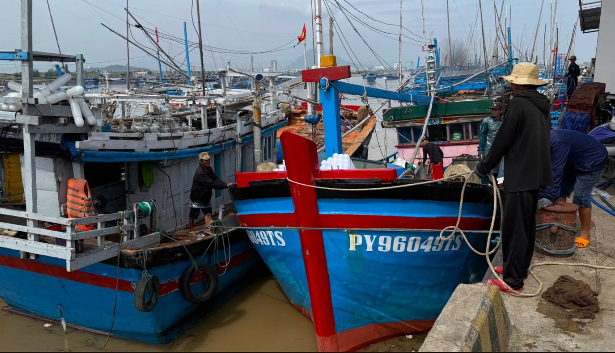 Ngư dân Đắk Lắk chuẩn bị để ra khơi. (Ảnh T.Q) Ngư dân Đắk Lắk chuẩn bị để ra khơi. (Ảnh T.Q)