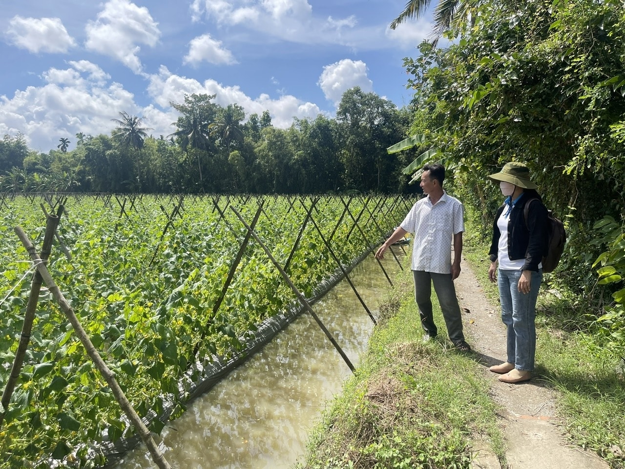 Đồng bào DTTS ở vùng Tây Nam Bộ tìm thấy cơ hội phát triển kinh tế nhờ nguồn lực hỗ trợ từ Chương trình MTQG 1719