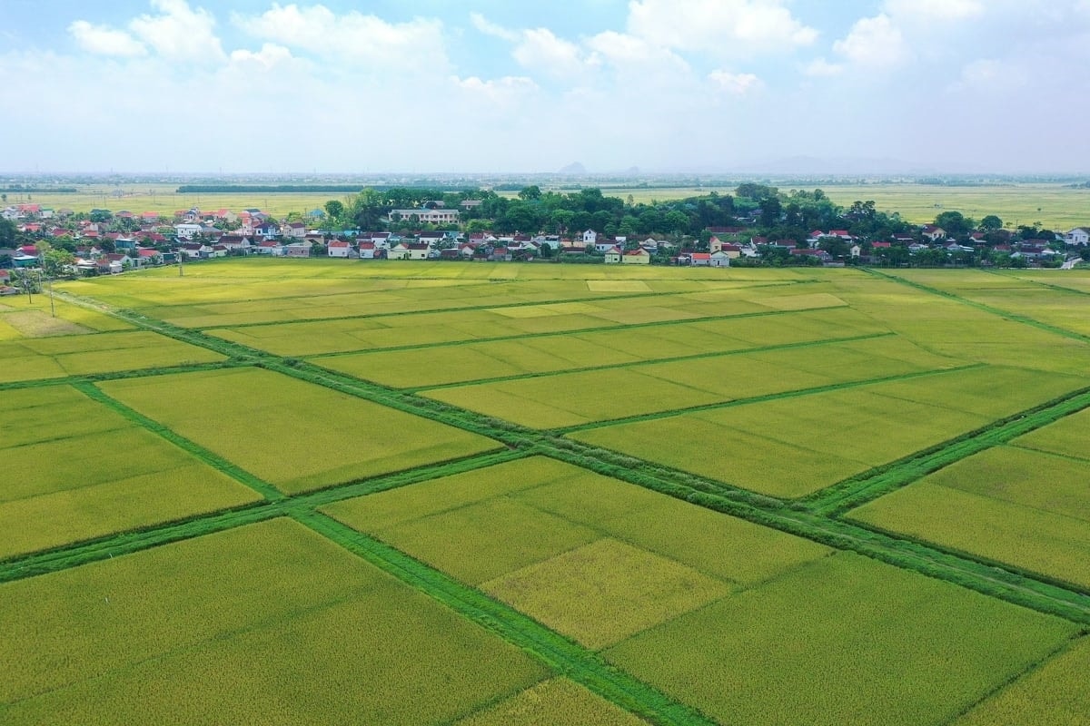Thời hạn miễn thuế sử dụng đất nông nghiệp theo quy định nêu trên được thực hiện từ ngày 01/01/2026 đến hết ngày 31/12/2030