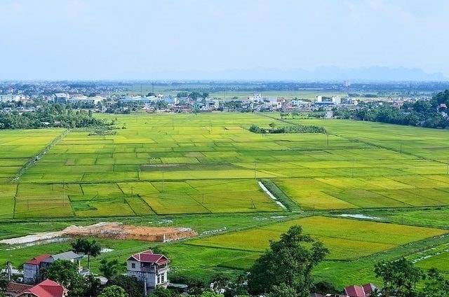 Có 4 trường hợp được miễn thuế sử dụng đất nông nghiệp đến hết ngày 31/12/2030