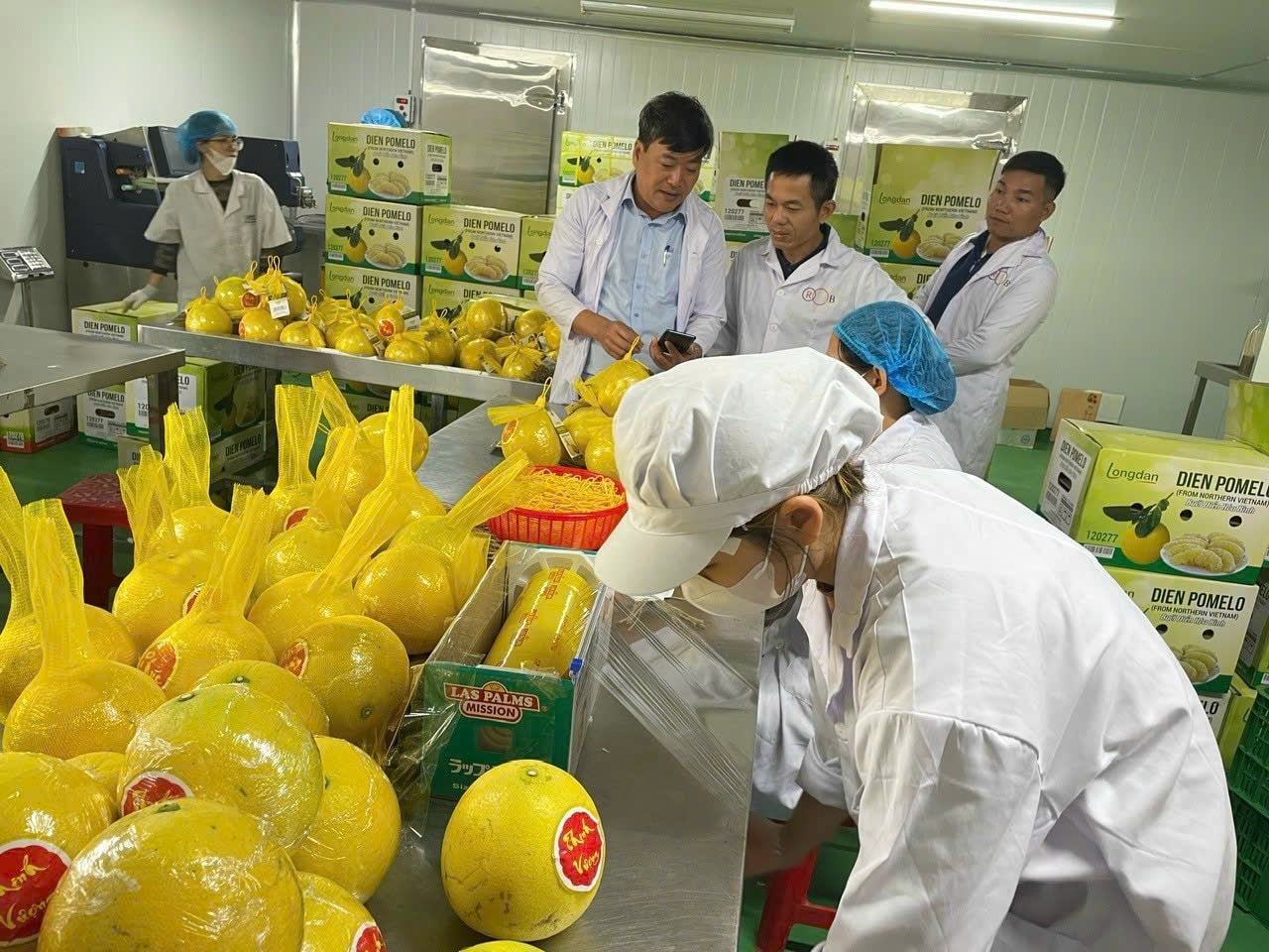 Công ty Cổ phần R.Y.B thực hiện sơ chế và đóng gói bưởi phục vụ xuất khẩu. (Ảnh: Yến Khánh)
