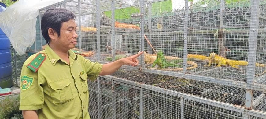 Cơ sở nuôi trái phép loài Rồng Nam Mỹ ở ấp Bình Thành, xã Thoại Sơn, An Giang. Ảnh Cục Lâm nghiệp và Kiểm lâm cung cấp Cơ sở nuôi trái phép loài Rồng Nam Mỹ ở ấp Bình Thành, xã Thoại Sơn, An Giang. Ảnh Cục Lâm nghiệp và Kiểm lâm cung cấp