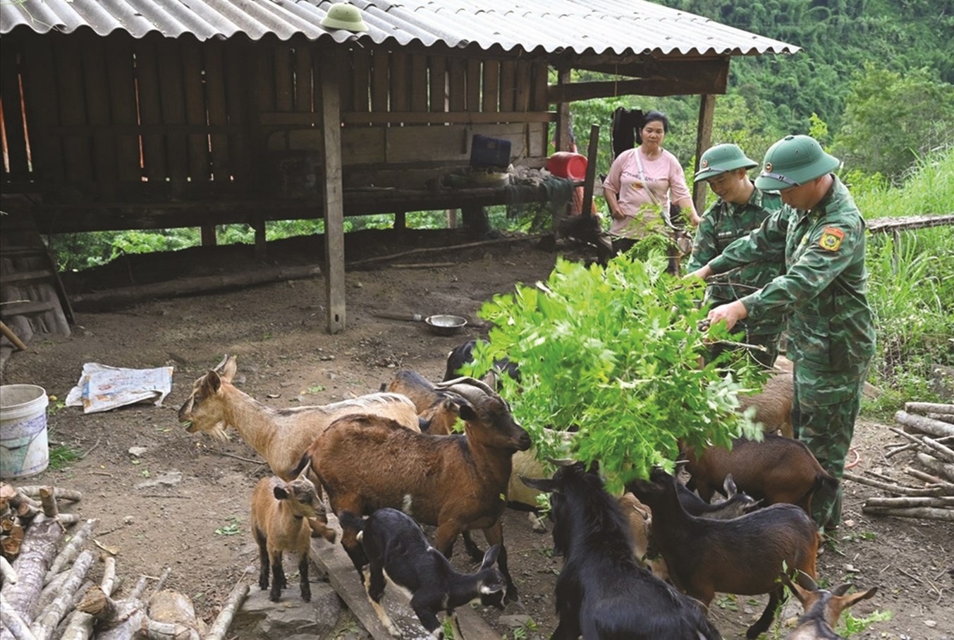 Cán bộ, chiến sỹ Đồn Biên phòng Tam Hợp, BĐBP Nghệ An hướng dẫn người dân chăm sóc, vật nuôi.  Ảnh: Anh Bách
