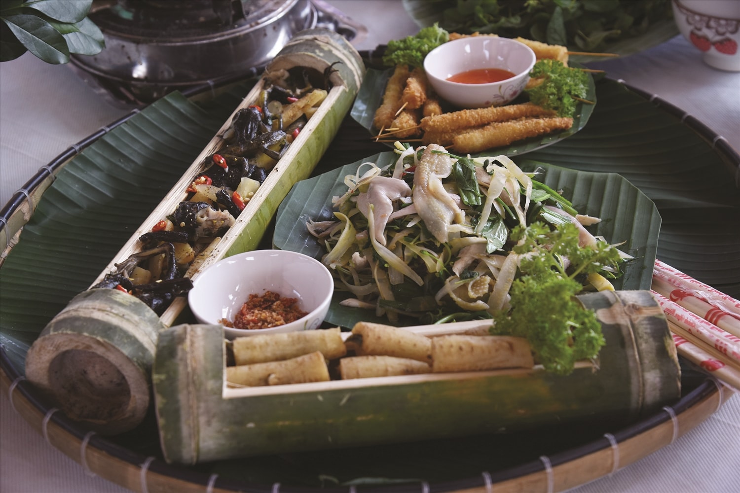Món ếch rừng già hầm củ sâm dây.