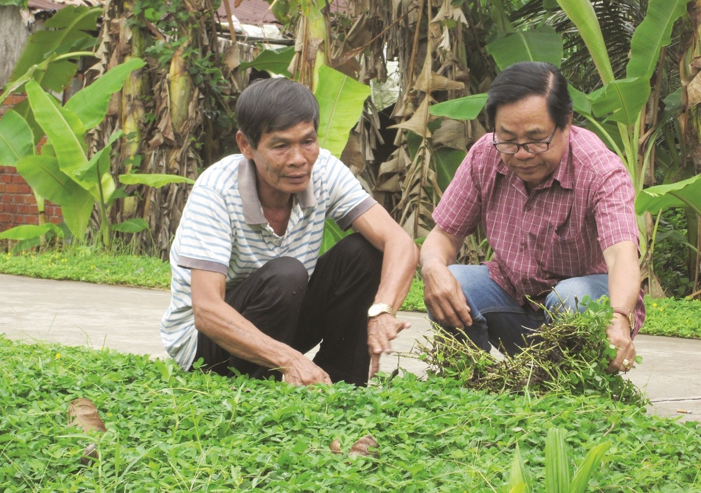 Ông Sơn Ngọc Kim (bìa trái) là Người có uy tín trong đồng bào dân tộc Khmer  ấp Đầu Giồng, xã Bình Phú, tỉnh Vĩnh Long