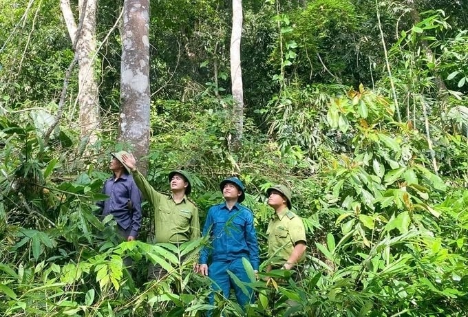 Thanh Hóa có gần 2.000 tổ, đội quần chúng tham gia bảo vệ rừng