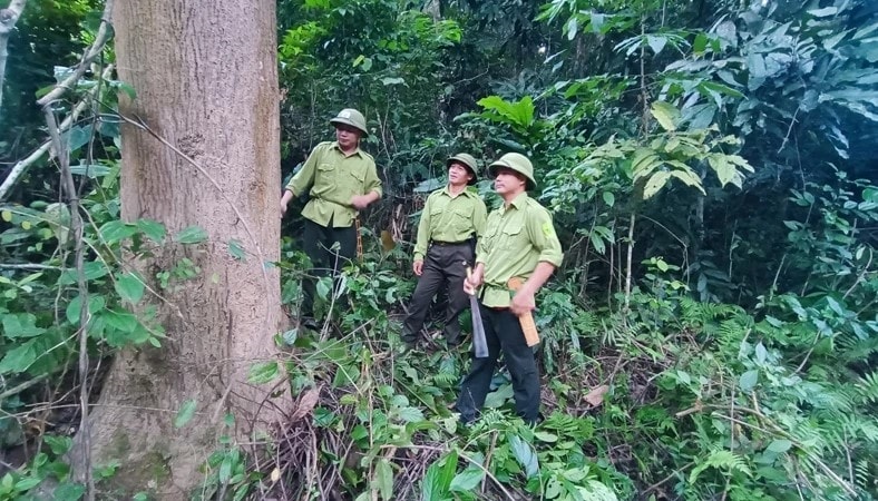 Thanh Hóa giữ rừng dựa vào cộng đồng 